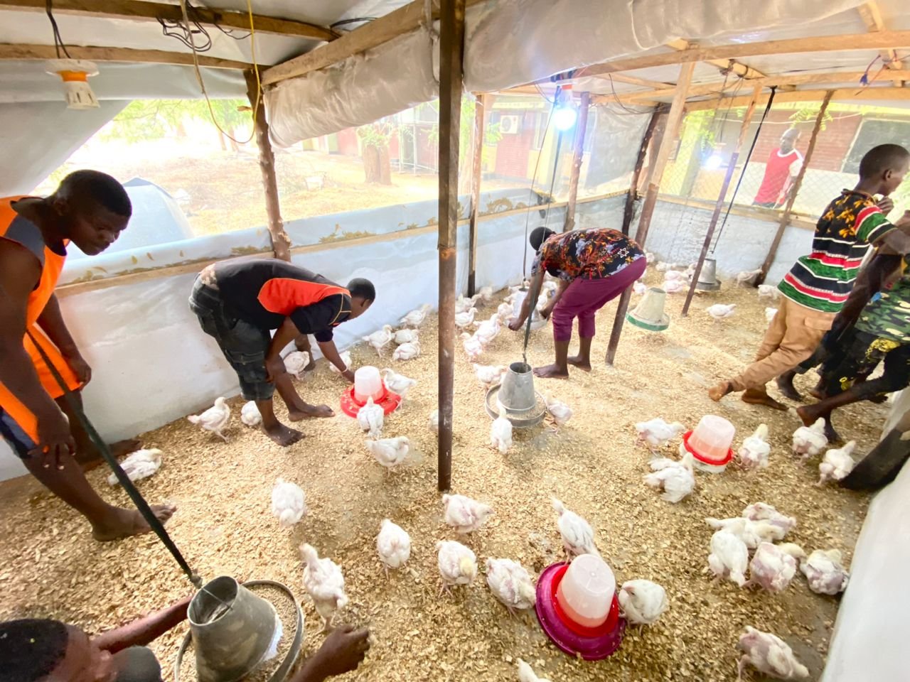 WhatsApp Image 2025 11 10 at 2.33.10 PM