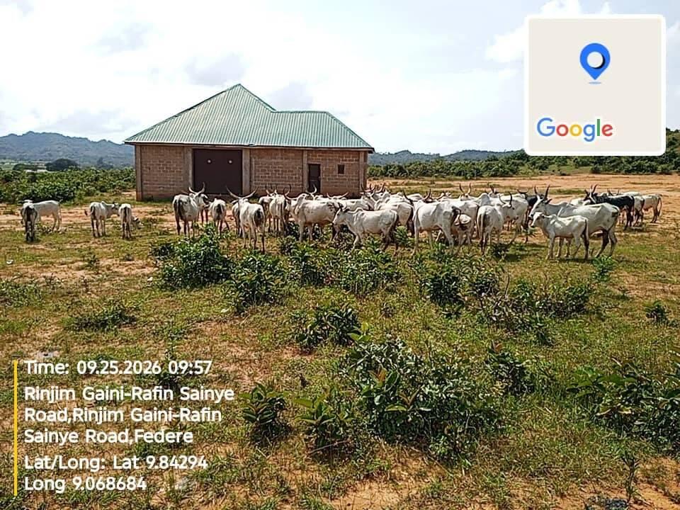 Troops intercept 41 cattle after alleged farm destruction…