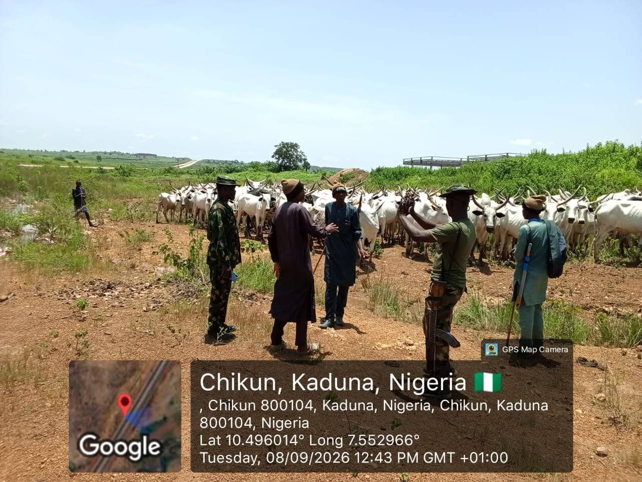 Troops foil cattle rustling, recover over 500 cattle…