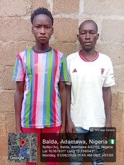 Troops Arrest Two Suspected ISWAP Members in Adamawa,&hellip;