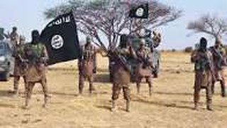 Troops, Hunters Arrest Two Suspected ISWAP Fighters in Adamawa   