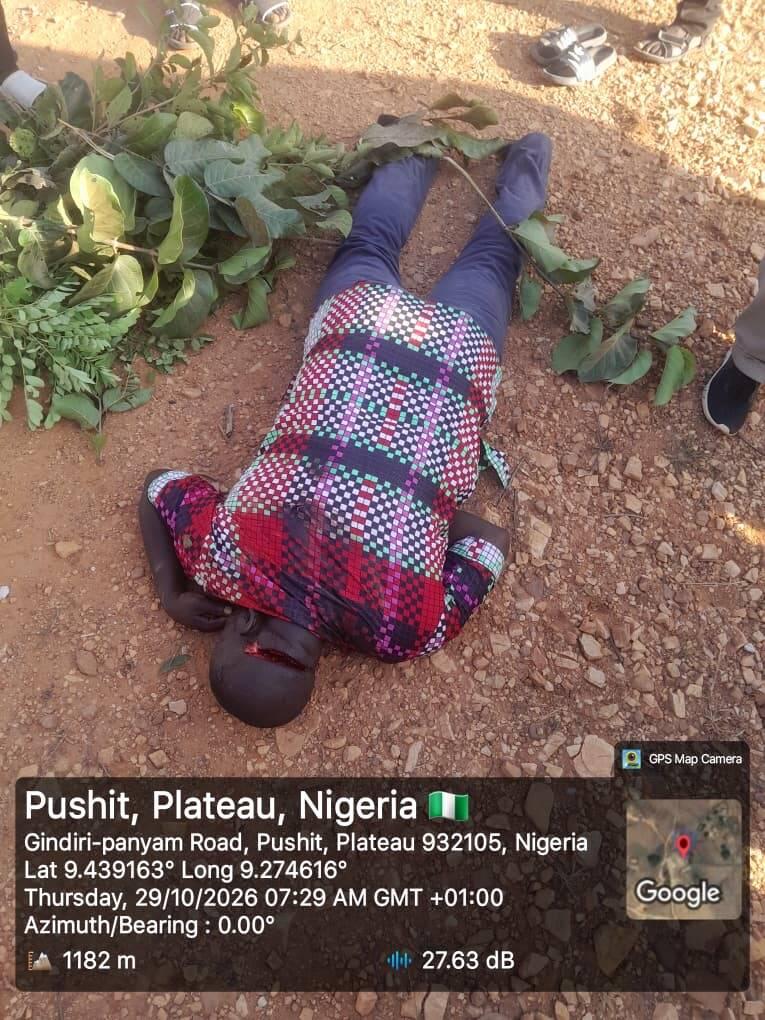 Corpse of Man With Machete Wound Discovered Along Road…