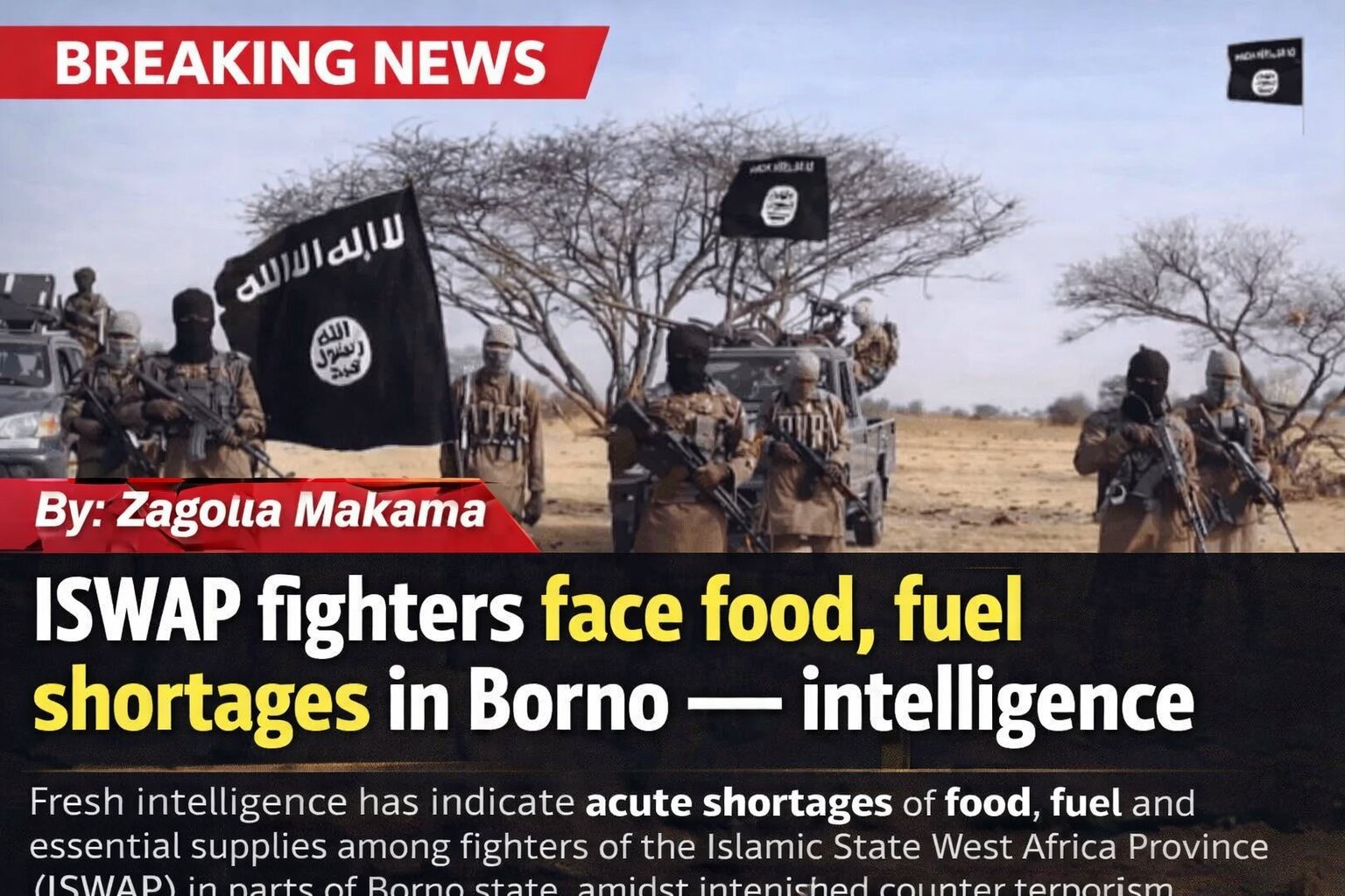 ISWAP fighters face food, fuel shortages in Borno —…