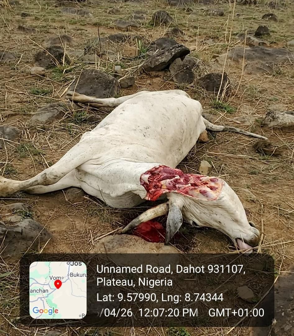 0d1ccdbb 6f43 464b 835f 130732a0ff9c