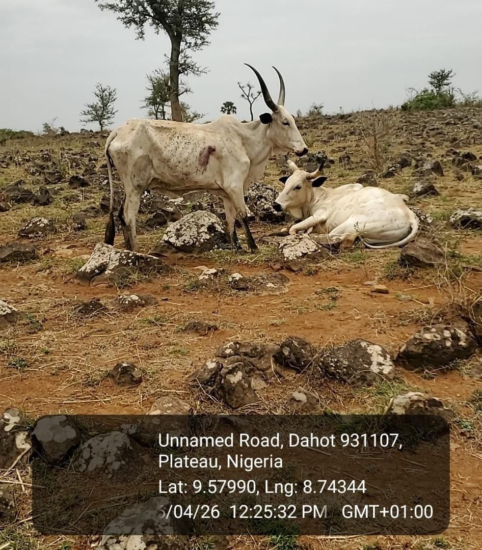 46e7243e d8a8 42c8 84b8 33e3d825652a