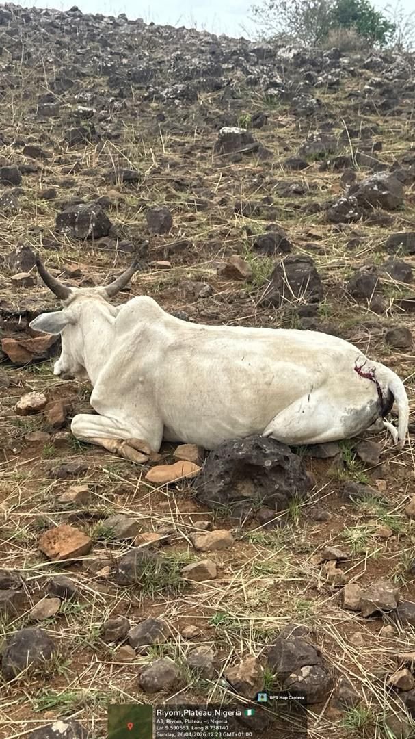 70a3e467 ffb1 4ce9 b624 b21f2d3a8a25