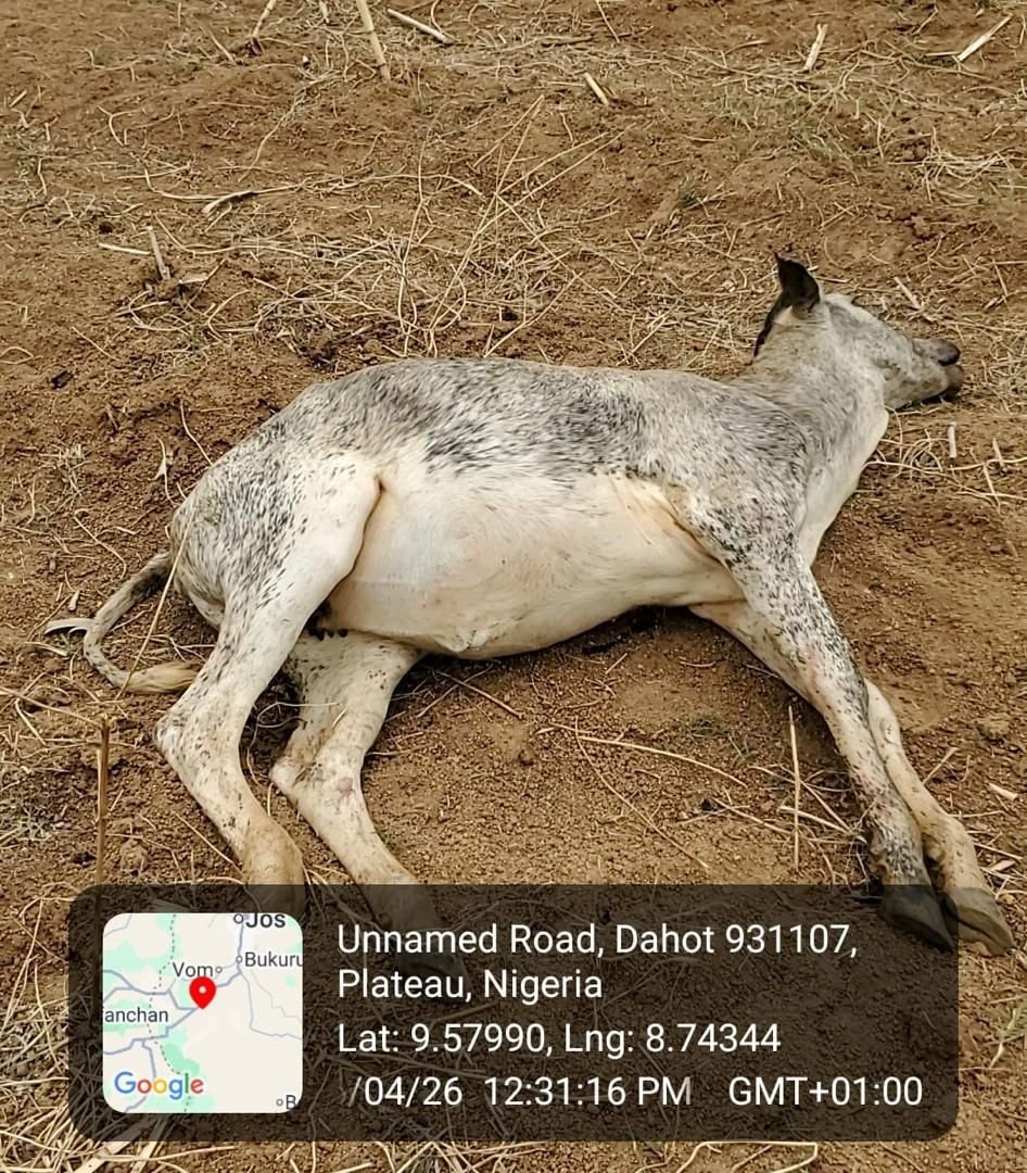 f50da5e9 4571 478d ba75 28a017b2ca47