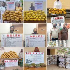 NDLEA uncovers cocaine in palm kernel oil cans, arrests&hellip;