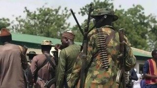 Kaduna: troops recover 12 rustled cattle after ambush in Igabi   