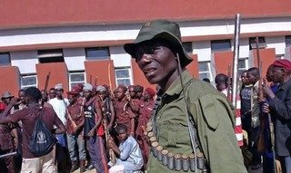 Hunter Dies After Accidental Explosion During Patrol in Adamawa   