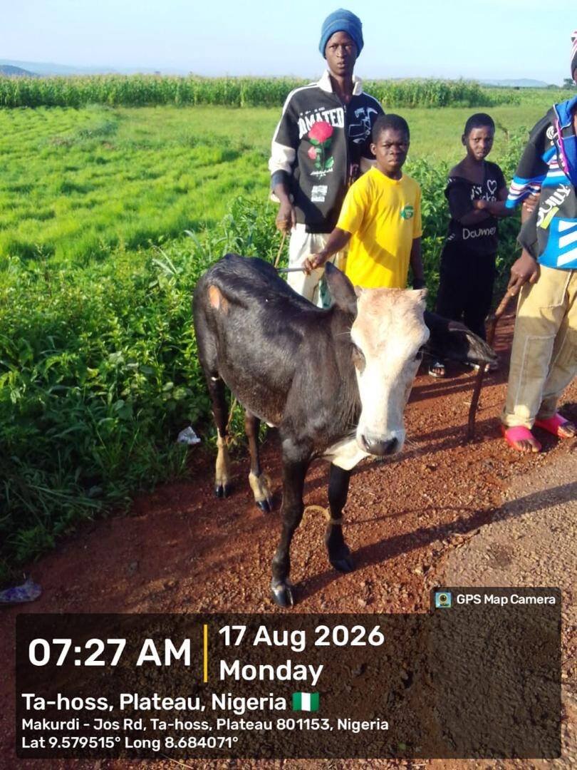 Troops Intervene in Farm Destruction, Restricted Grazing…