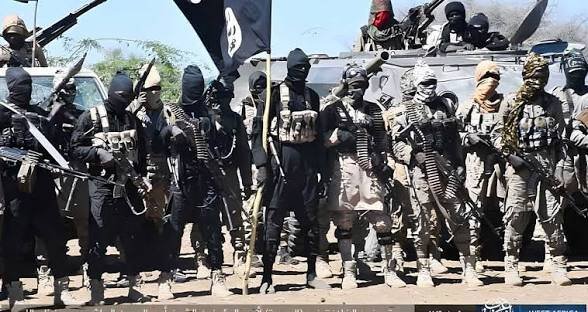 ISWAP leadership crisis deepens as Ba Shuwa purges…