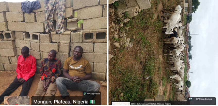 Troops arrest three notorious cattle rustling syndicates,…