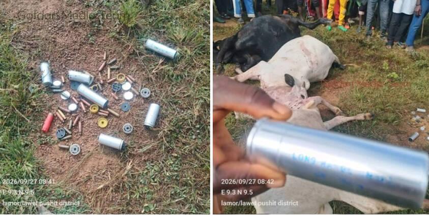 Fulani victims urge probe into alleged use of teargas…