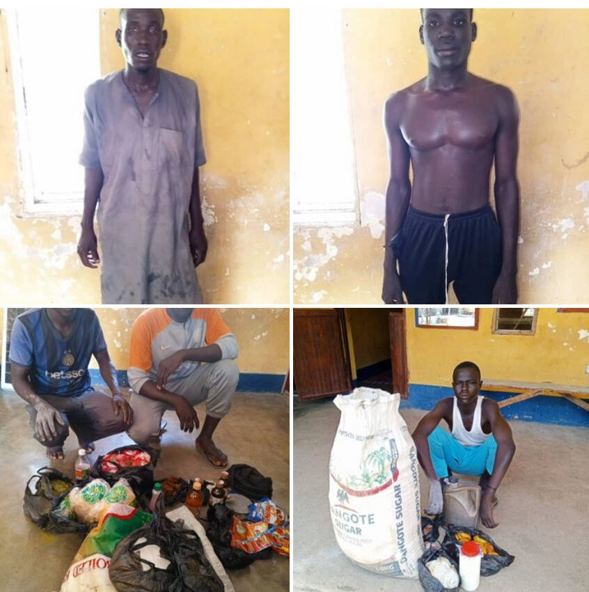 Troops arrest 11 suspected terrorists, collaborators…