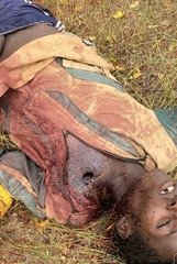 Troops foil multiple ISWAP infiltration attempts in&hellip;