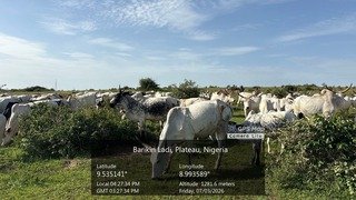 Troops intercept cattle grazing in restricted area&hellip;