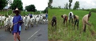 Farmers/Herders Clash Leaves Several Dead in Kebbi&hellip;