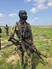 Troops Recover Over 2,400 Rustled Livestock After Clash&hellip;