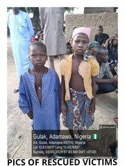 Troops Rescue Two Kidnap Victims in Adamawa, Search&hellip;