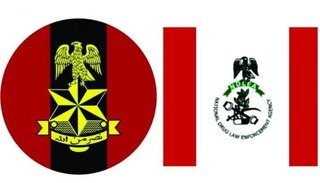 Troops, NDLEA Raid Drug Hideout in Katsina,&hellip;