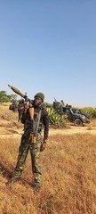Troops Foil Cattle Rustling Attempt in Plateau Border&hellip;