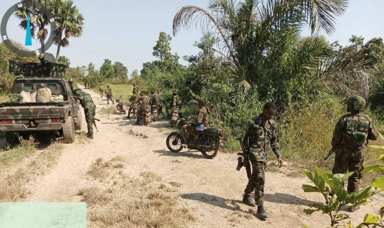 Troops Intercept 11 Cattle, Arrest Herder Over Alleged…