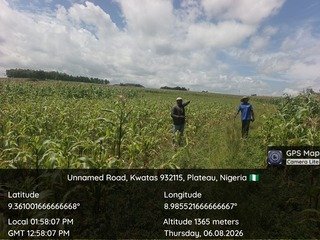 Criminal Herders Destroy Farmlands in Two Plateau Communities,&hellip;