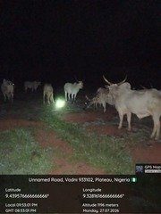 Troops Impound 19 Cattle Over Farm Destruction in Plateau’s&hellip;
