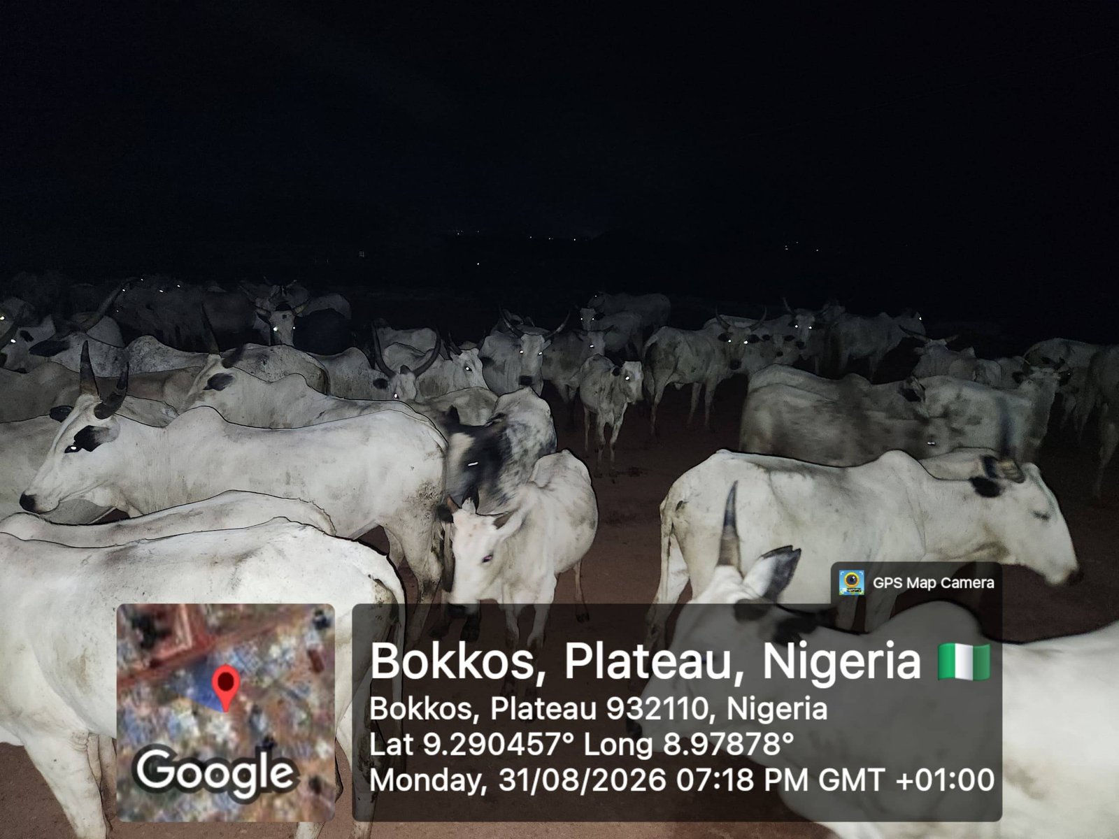 Troops intervene as cattle destroy farmland in Plateau