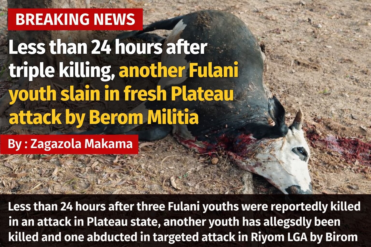 Less than 24 hours after triple killing, another Fulani…