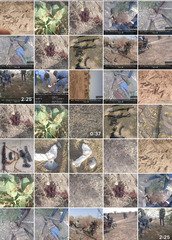 ISWAP evacuates dead fighters as troops recover weapons,&hellip;